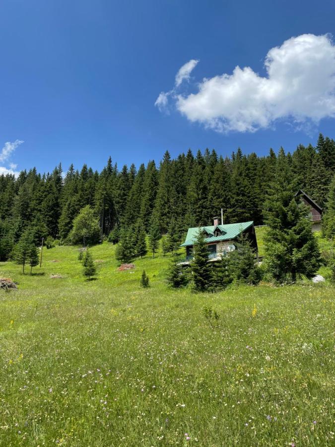 Villa Magic Mountain à Žabljak Extérieur photo