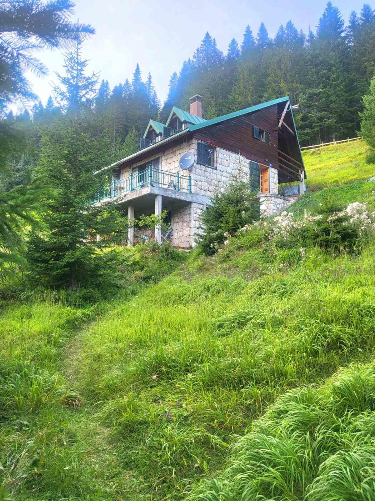 Villa Magic Mountain à Žabljak Extérieur photo